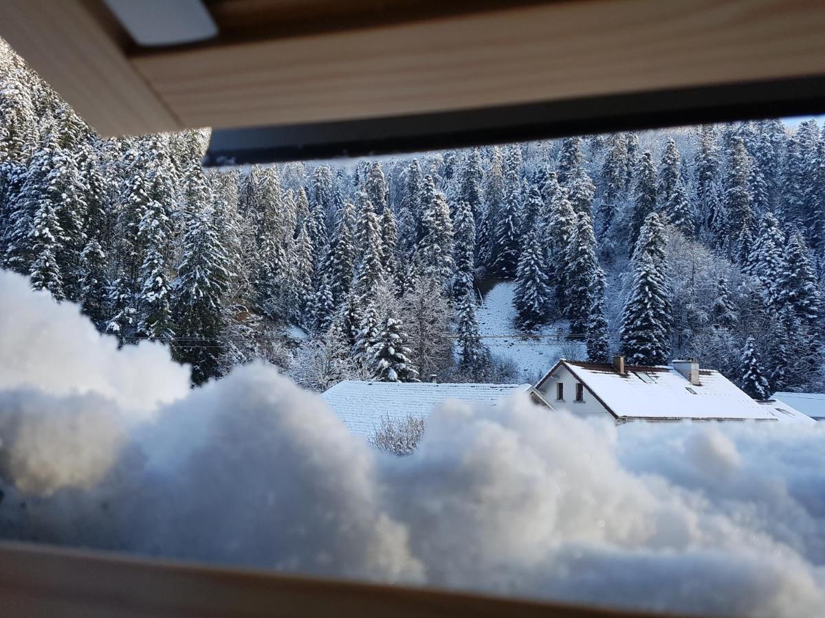 Le Petit Kichon Apartment Gerardmer Exterior photo