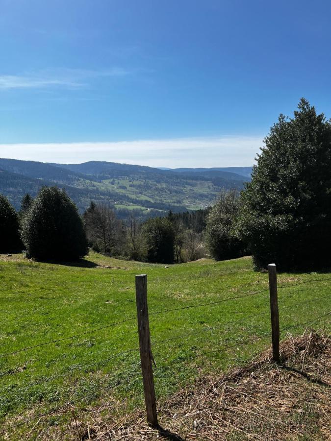 Le Petit Kichon Apartment Gerardmer Exterior photo